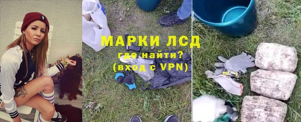 ПСИЛОЦИБИНОВЫЕ ГРИБЫ Алзамай