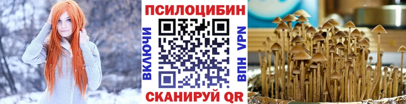 что такое   Комсомольск  Галлюциногенные грибы Magic Shrooms 